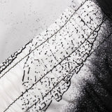 Alexander McQueen Black Dragonfly Print Swim Shorts