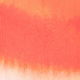 Alexander McQueen gradient-effect logo scarf