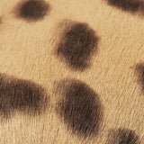 Jimmy Choo Camel LeopardPrintCalfHair Pixie Buckle Pumps