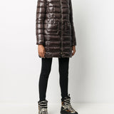 Herno Coats Brown