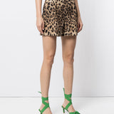 Dolce & Gabbana Shorts Brown