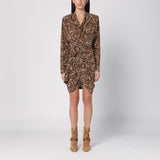 Isabel Marant Leopard Print Dress